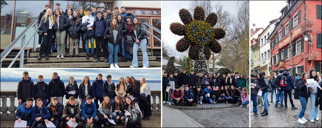 ¡Bienvenidos a todos!