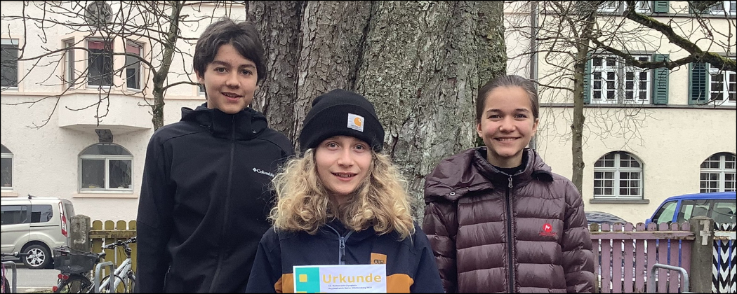 Erfolg bei der Mathematik-Olympiade